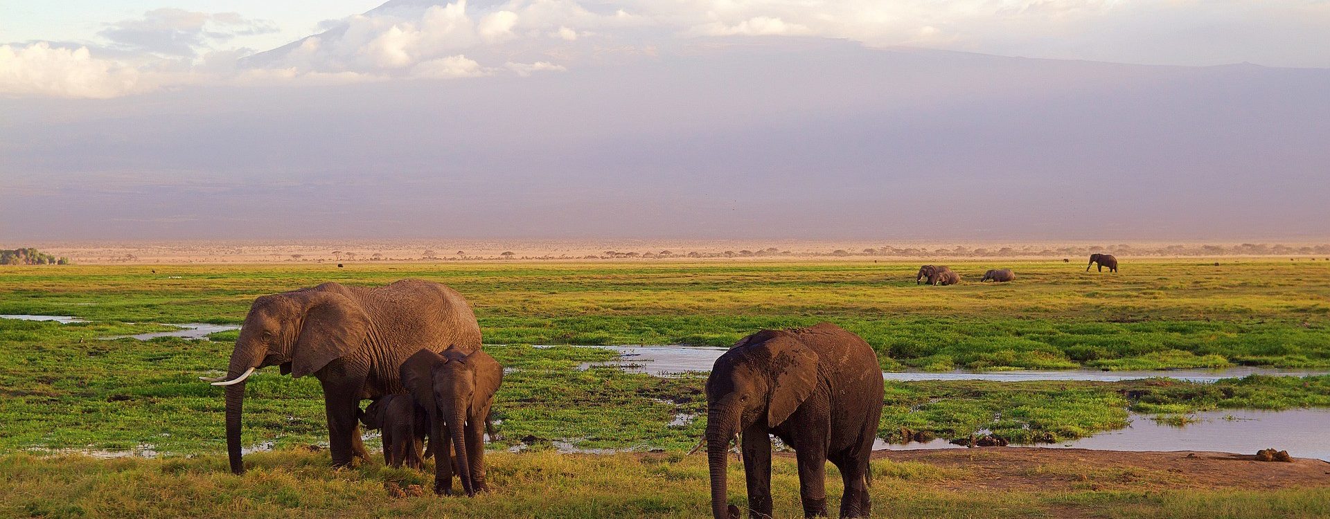 Putovanje u Keniju na prekrasno iskustvo u Safariu Maasai Mara