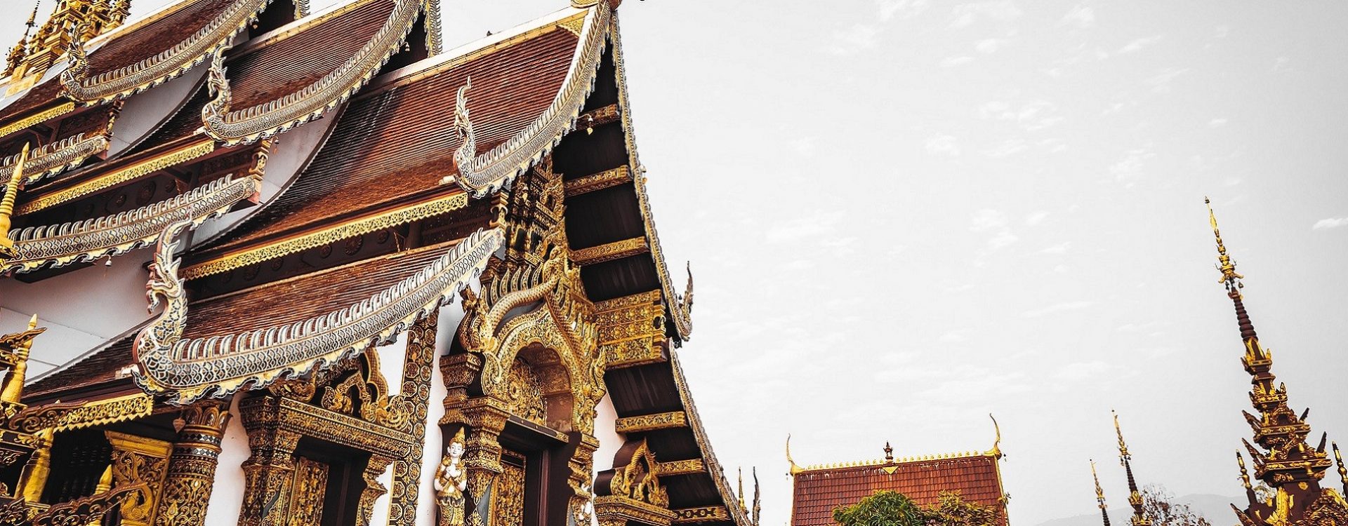 Krenite na putovanje na Tajland i okusite kuhinju koja budi čula u ovoj svjetskoj prijestolnici kulture i zabave.